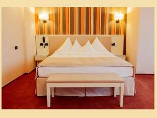 Отель Hotel Paradis Клуж-Напока Представительский двухместный номер с 1 кроватью-2